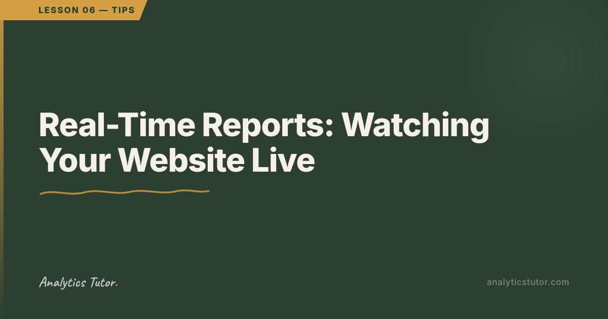 What the Live Visitor Report Actually Shows