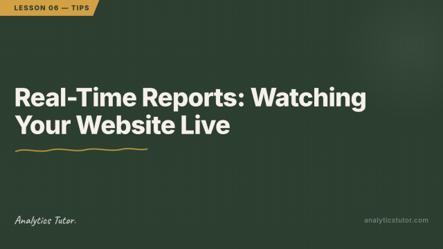 What the Live Visitor Report Actually Shows